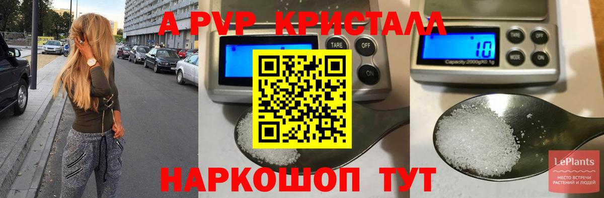 A PVP СК КРИС Набережные Челны