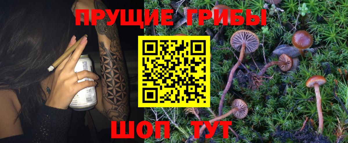 Набережные Челны  Псилоцибиновые грибы Magic Shrooms  Вход с VPN 